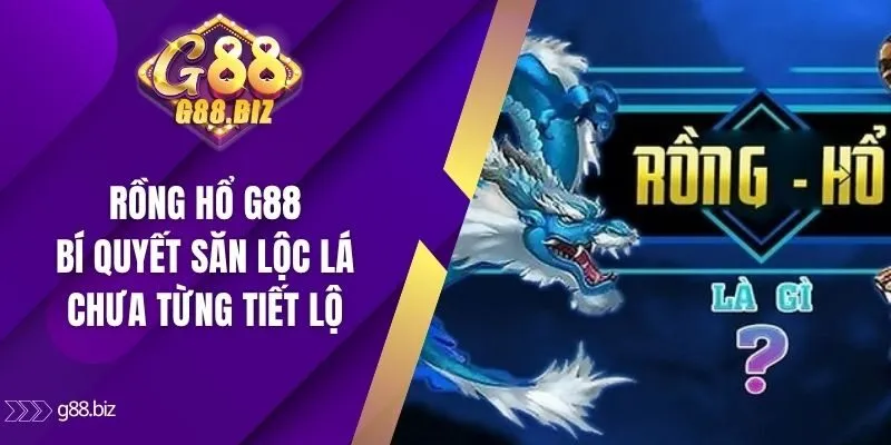 Rồng Hổ